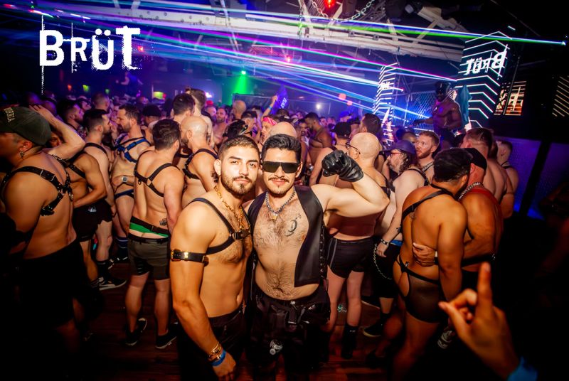 Walter Studio Phoenix