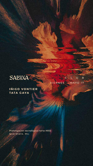 I&Ntilde;IGO VONTIER / TATA GAYA