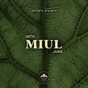 MIUL photo