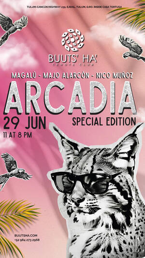 ARCADIA SPECIAL photo