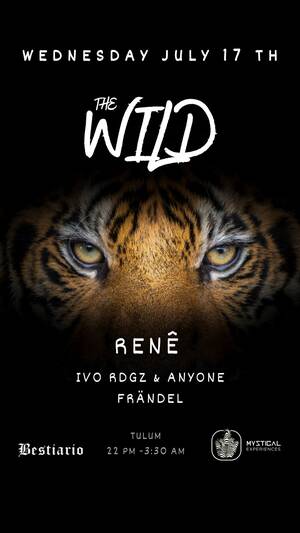The Wild photo