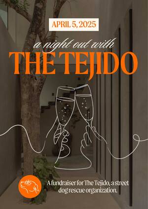 April 5th | A Night Out With The Tejido photo