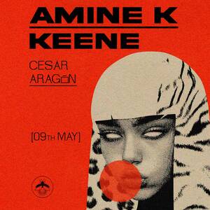 AMINE K photo