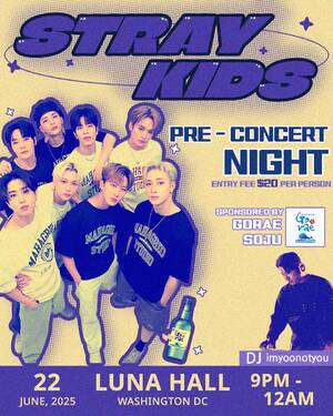 2025 Stray Kids Pre-Concert Night for STAYs