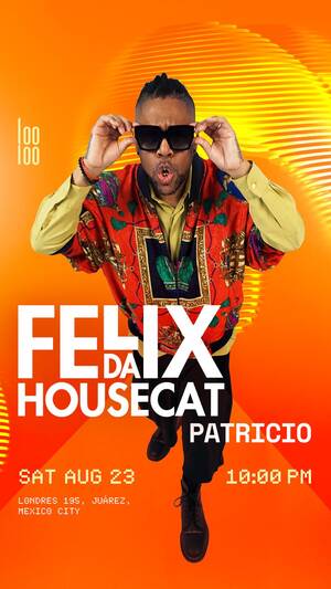 FELIX DA HOUSECAT photo