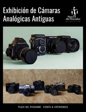 Exhibici&oacute;n de C&aacute;maras Anal&oacute;gicas Antiguas