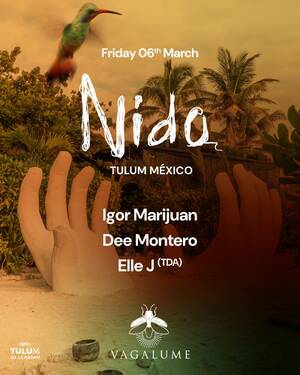 NIDO TULUM M&Eacute;XICO