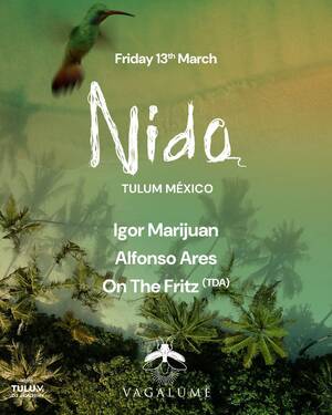 NIDO TULUM M&Eacute;XICO