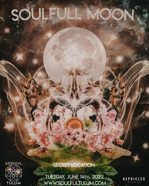 SoulFULL Moon Event - Event in Tulum