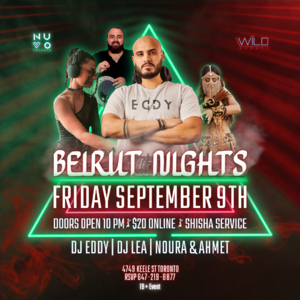 Beirut Nights 2.0 photo