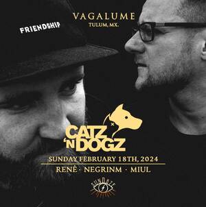 VAGALUME SUNDAZE CATZ'N DOGZ photo